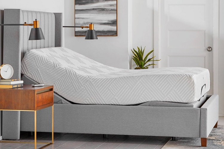 PlushBeds Adjustable Beds Review Top 10 Best Mattresses Online