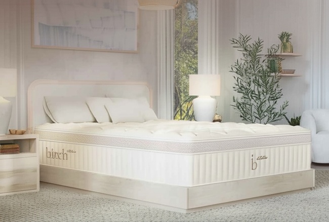 Birch Elite Natural Mattress Review 650